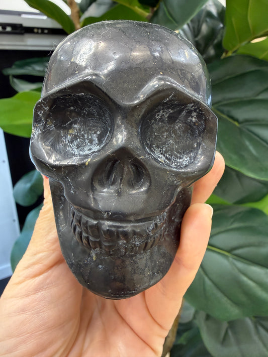 Shungite Skull- 4 inches