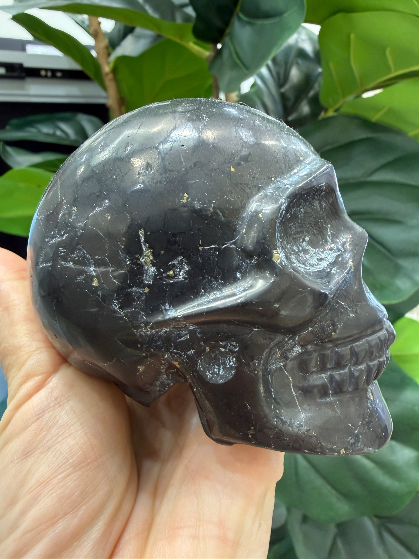Shungite Skull- 4 inches