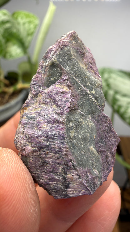 Stichtite on Serpentine- Barberton District, Mpumalanga, South Africa