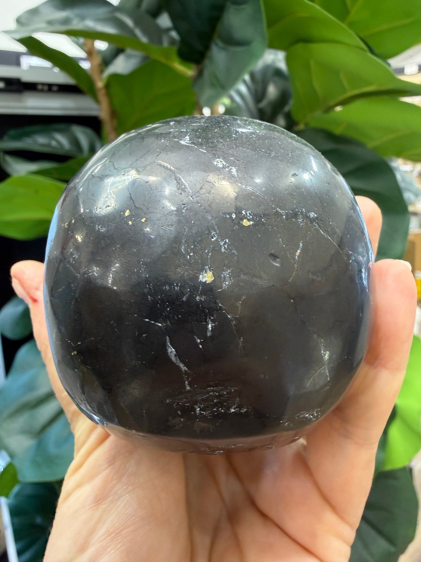Shungite Skull- 4 inches