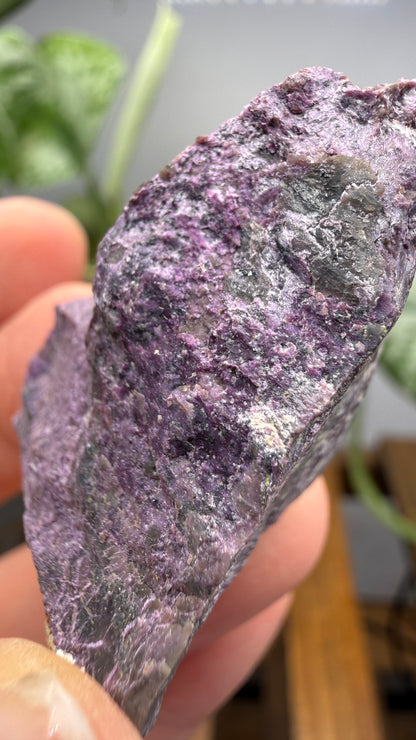 Stichtite on Serpentine- Barberton District, Mpumalanga, South Africa