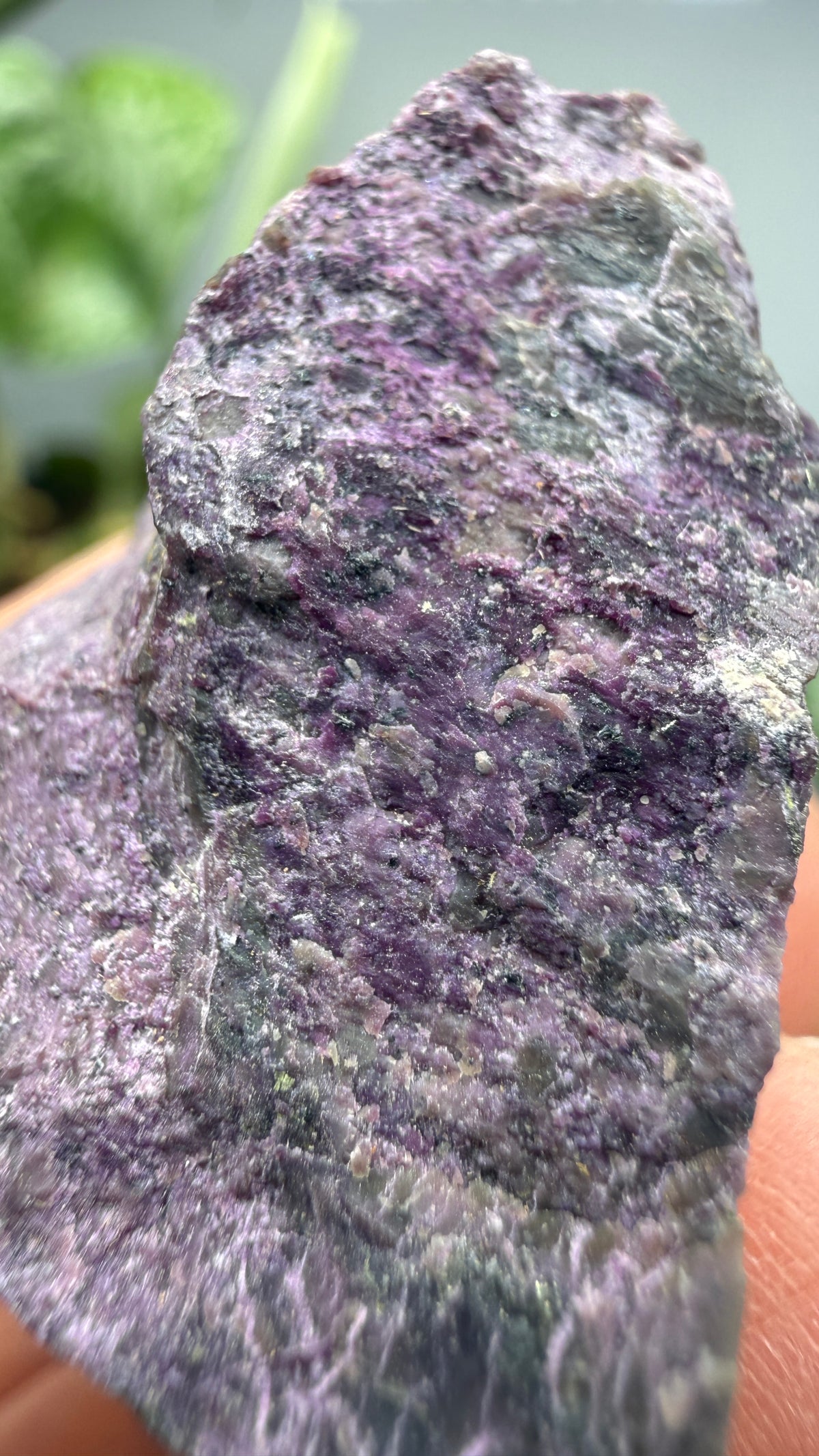 Stichtite on Serpentine- Barberton District, Mpumalanga, South Africa