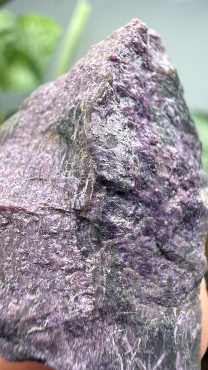 Stichtite on Serpentine- Barberton District, Mpumalanga, South Africa