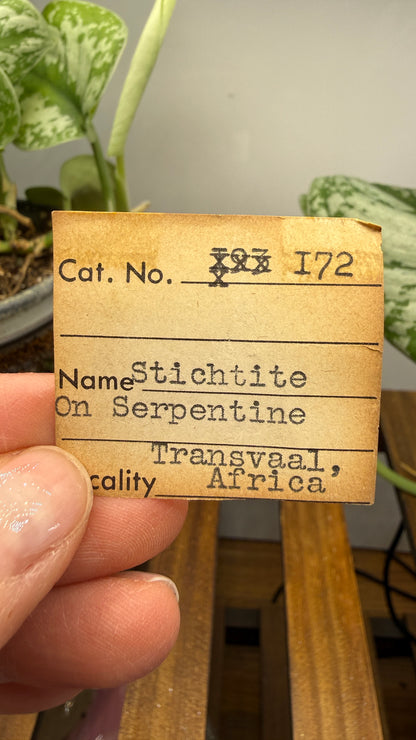 Stichtite on Serpentine- Barberton District, Mpumalanga, South Africa