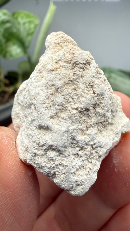 Hydromagnesite- Gabbs, Nye County, Nevada, USA
