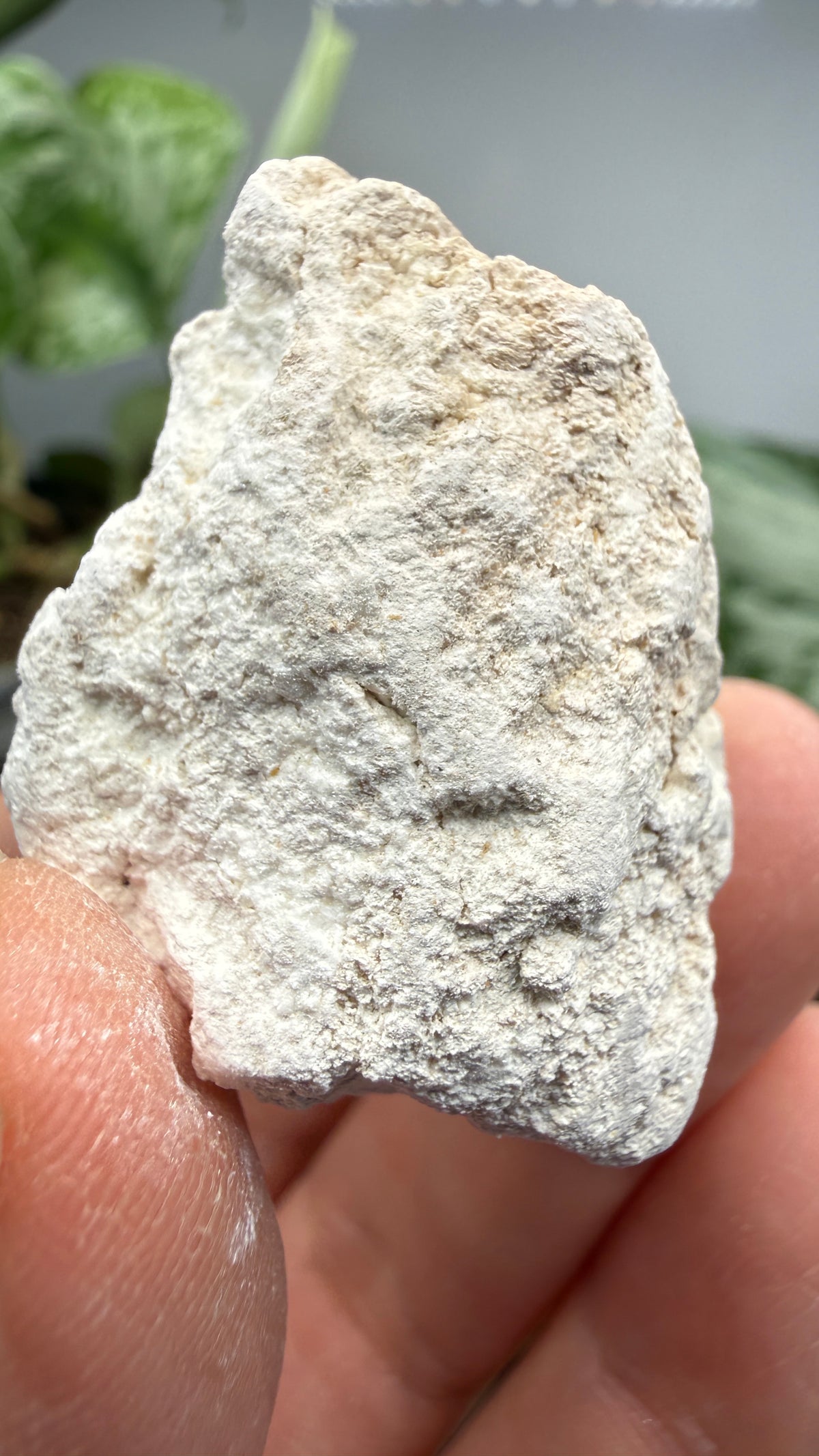Hydromagnesite- Gabbs, Nye County, Nevada, USA