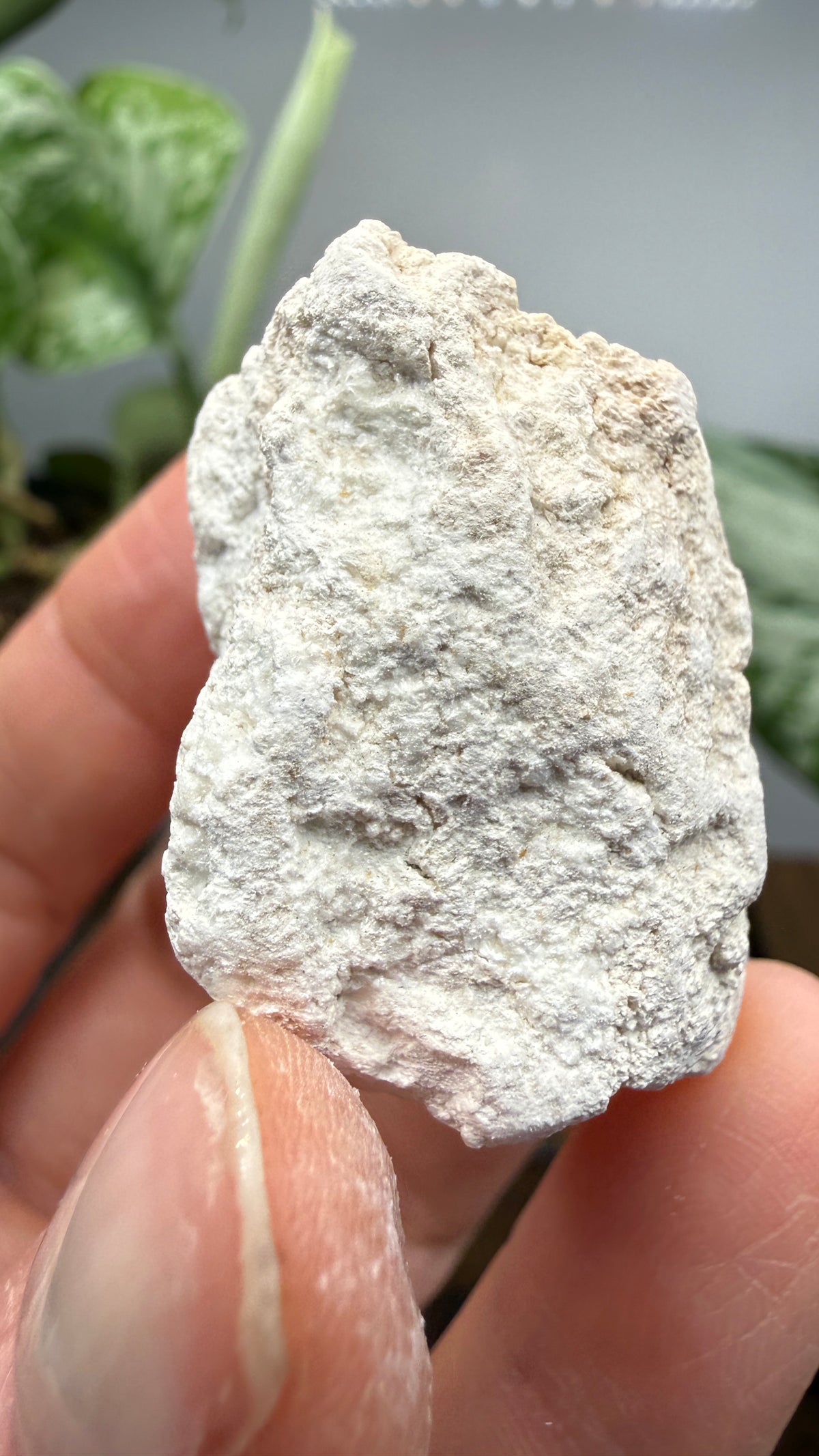 Hydromagnesite- Gabbs, Nye County, Nevada, USA