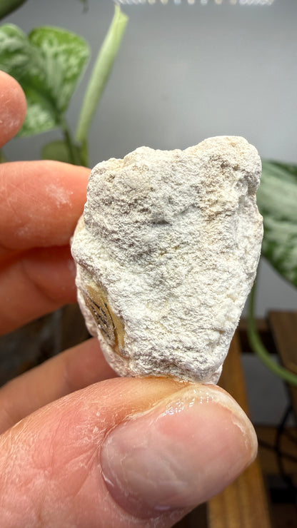 Hydromagnesite- Gabbs, Nye County, Nevada, USA