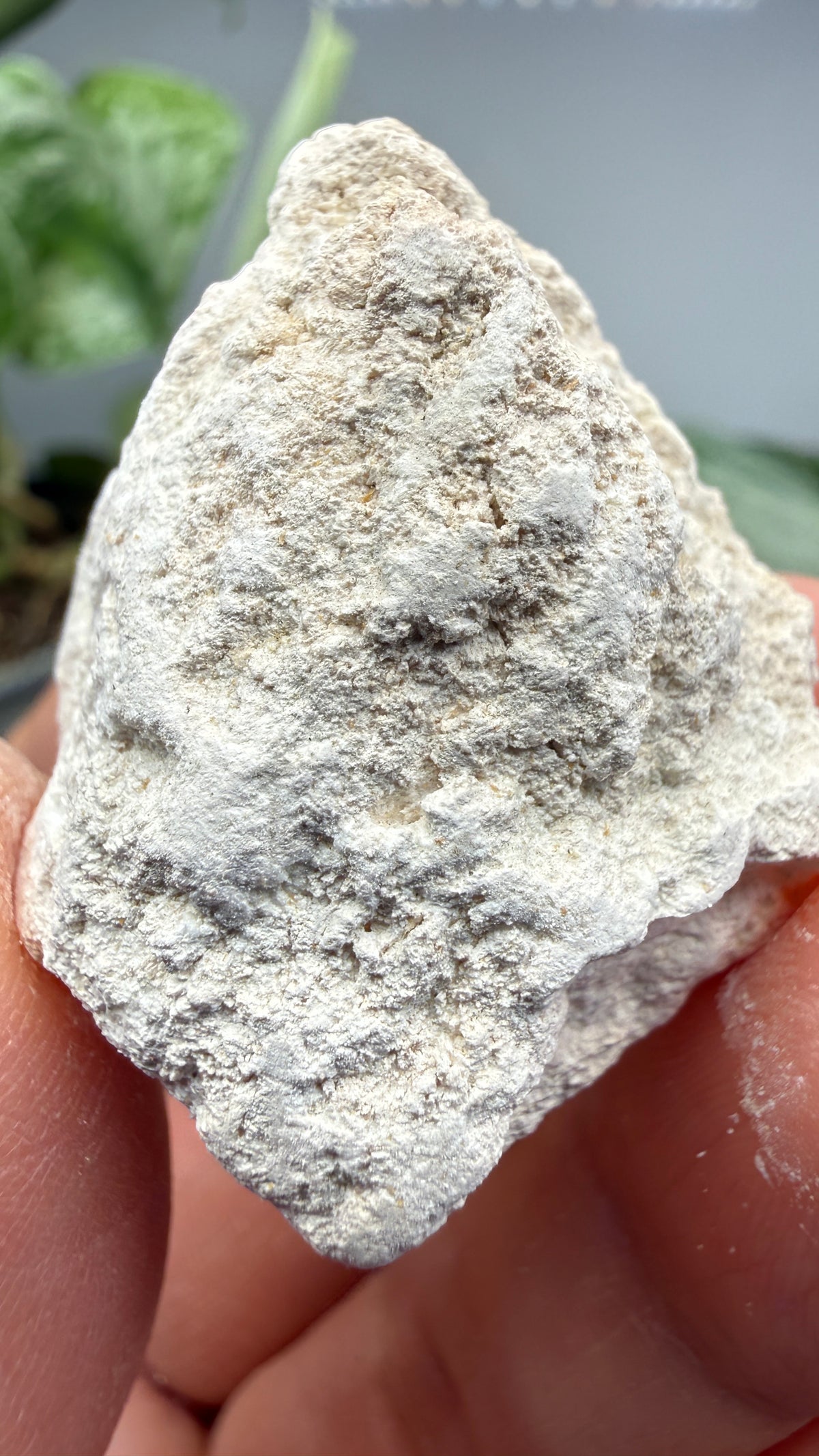 Hydromagnesite- Gabbs, Nye County, Nevada, USA