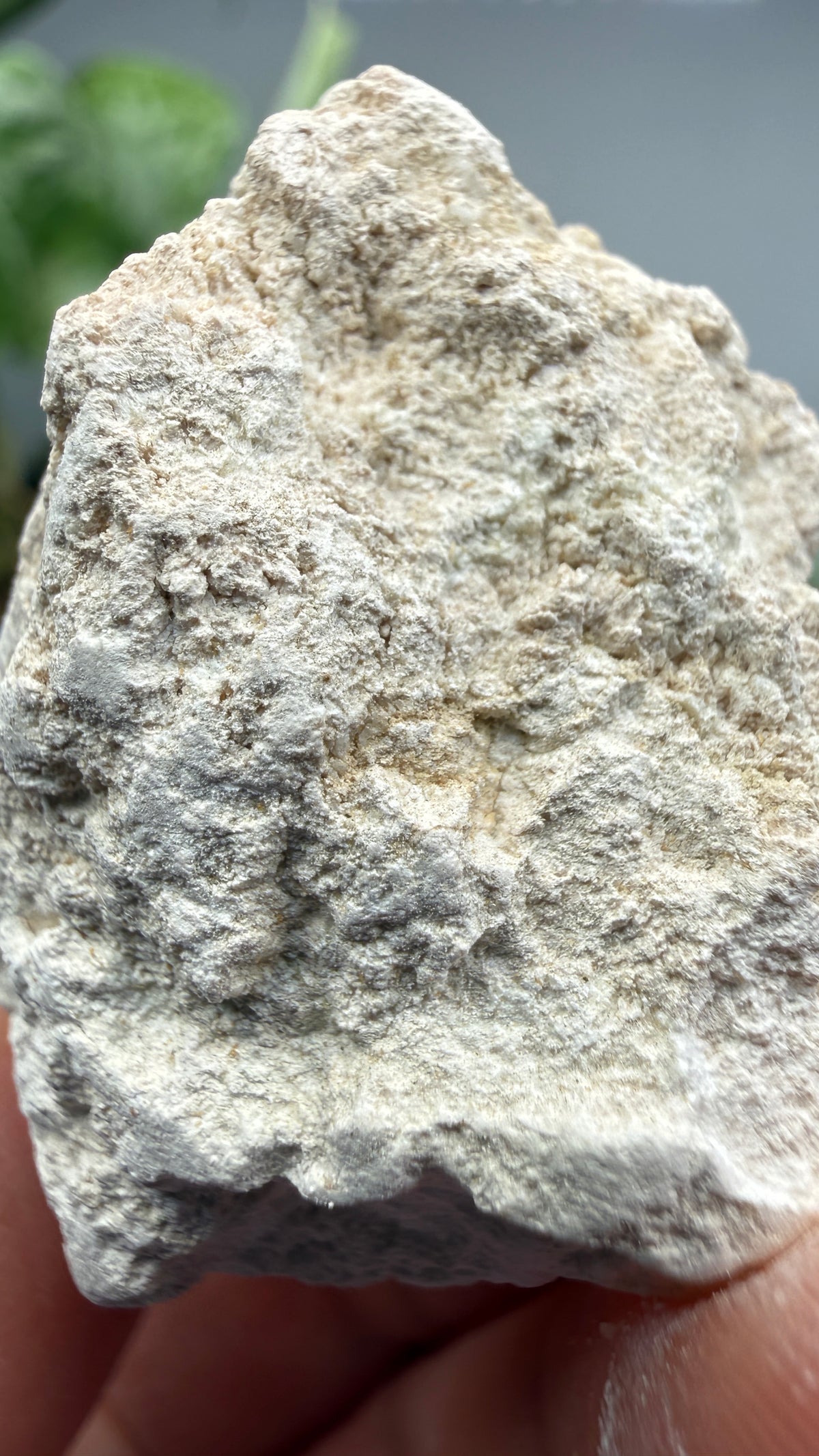 Hydromagnesite- Gabbs, Nye County, Nevada, USA