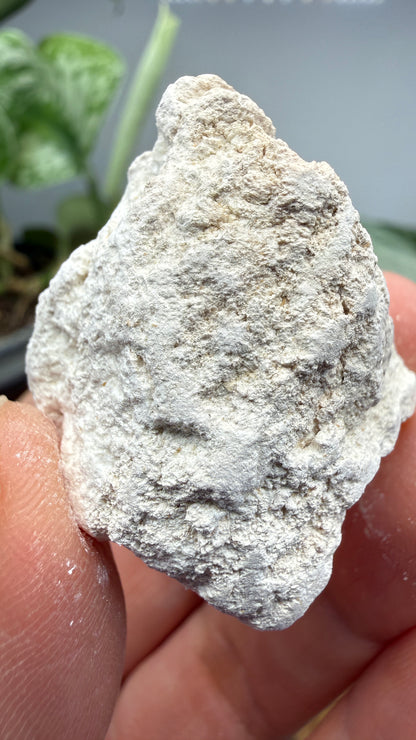Hydromagnesite- Gabbs, Nye County, Nevada, USA
