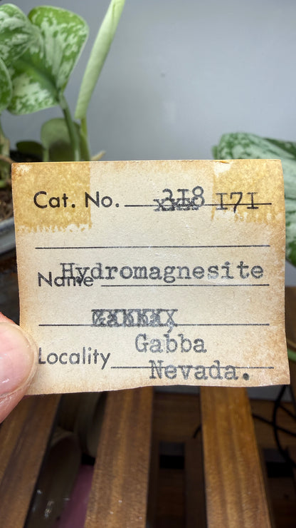 Hydromagnesite- Gabbs, Nye County, Nevada, USA
