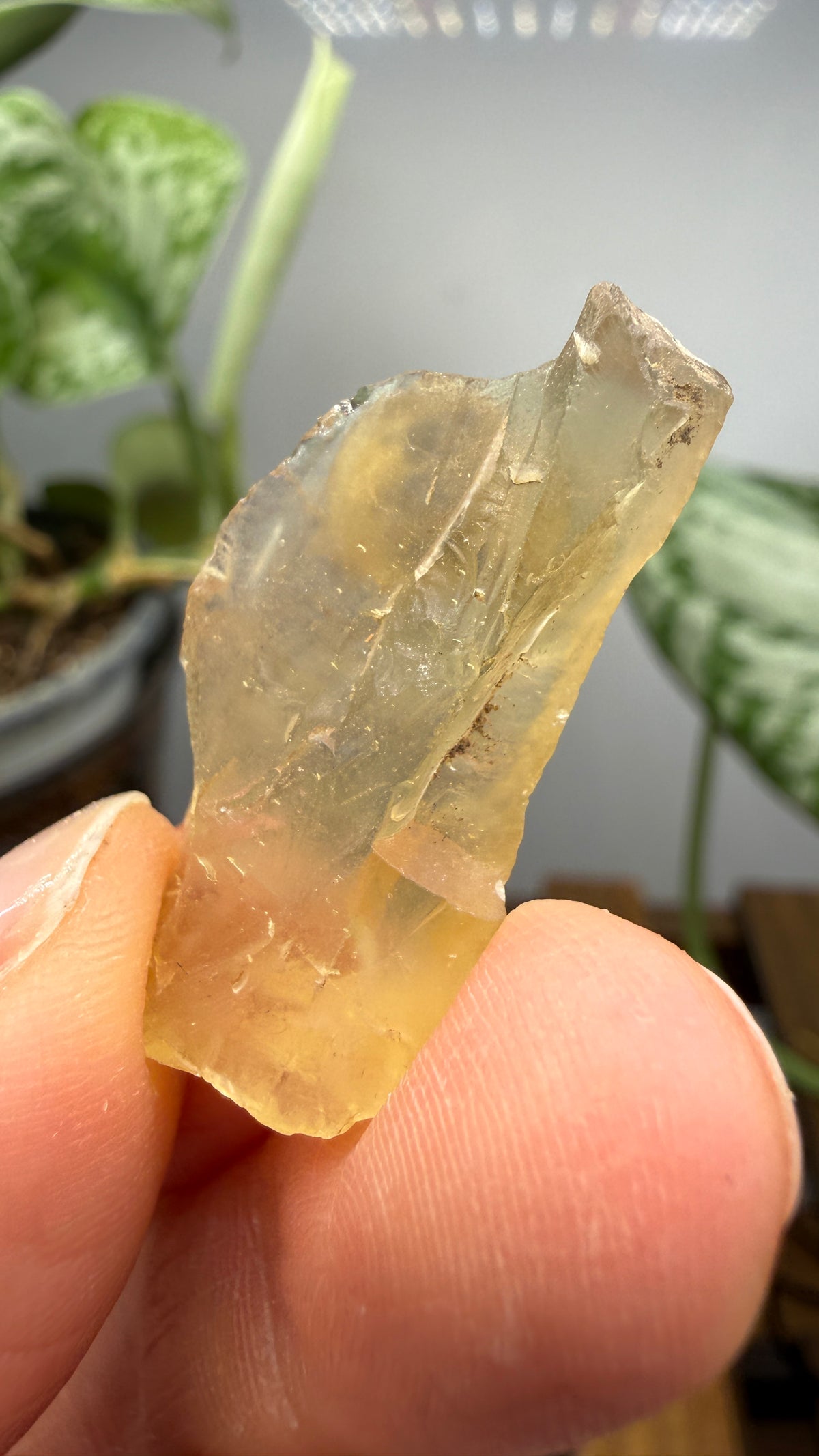 Bytownite- Lakeview, Lake County, Oregon, USA