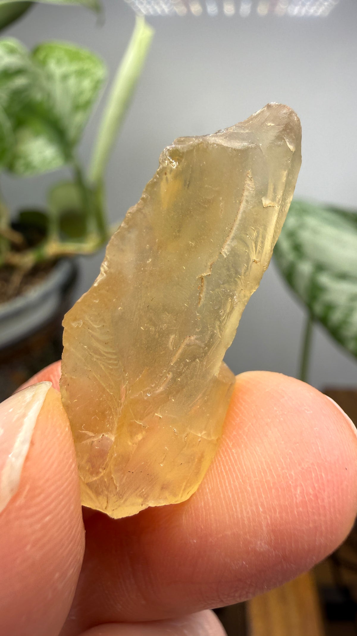 Bytownite- Lakeview, Lake County, Oregon, USA