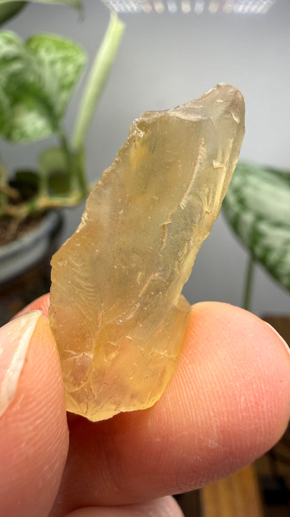 Bytownite- Lakeview, Lake County, Oregon, USA