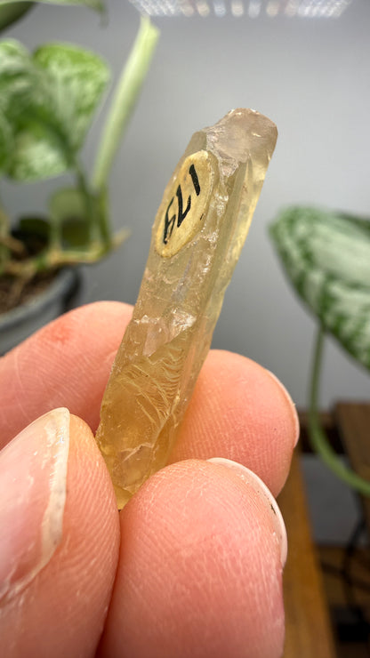 Bytownite- Lakeview, Lake County, Oregon, USA
