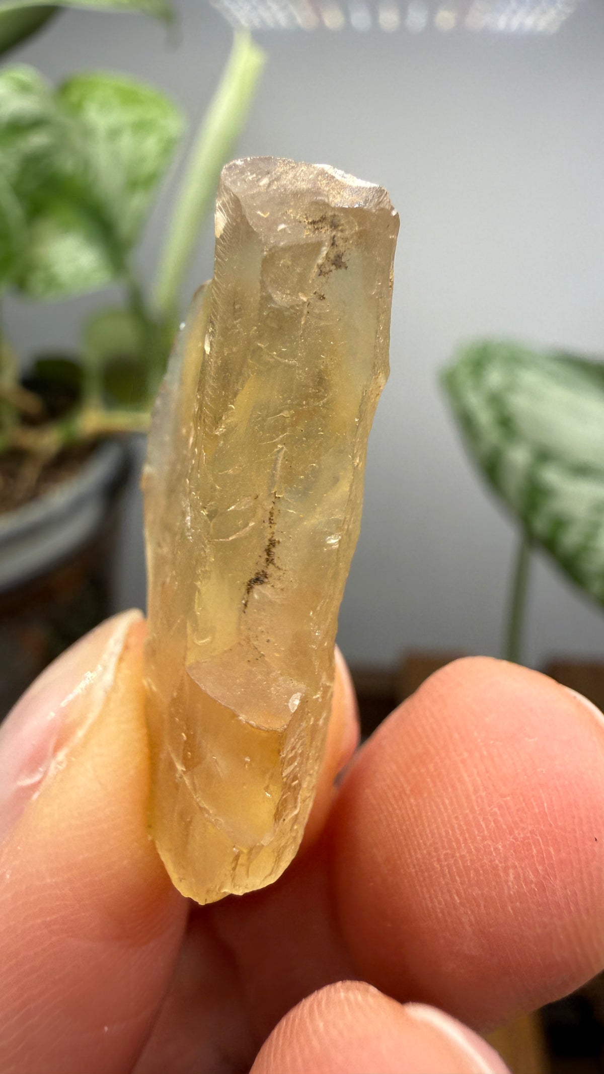Bytownite- Lakeview, Lake County, Oregon, USA
