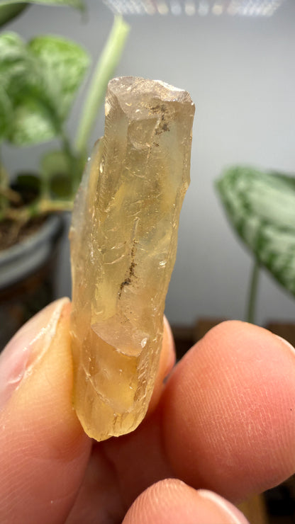Bytownite- Lakeview, Lake County, Oregon, USA