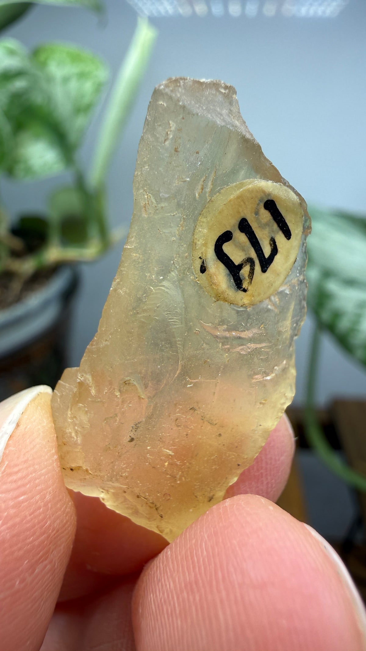 Bytownite- Lakeview, Lake County, Oregon, USA