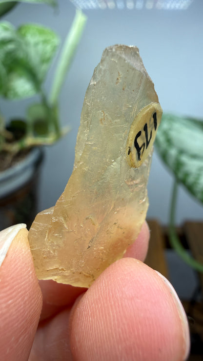 Bytownite- Lakeview, Lake County, Oregon, USA