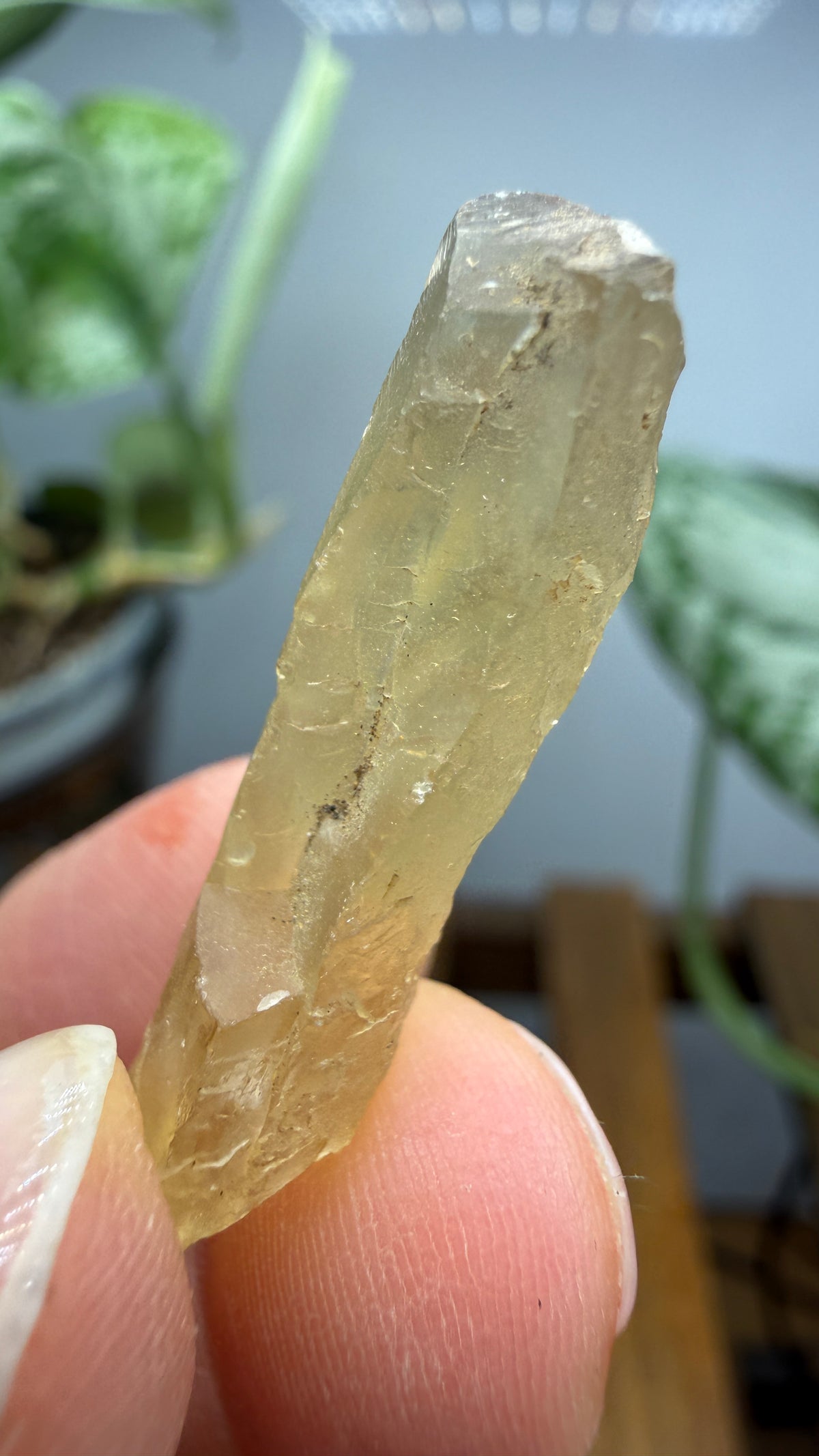 Bytownite- Lakeview, Lake County, Oregon, USA