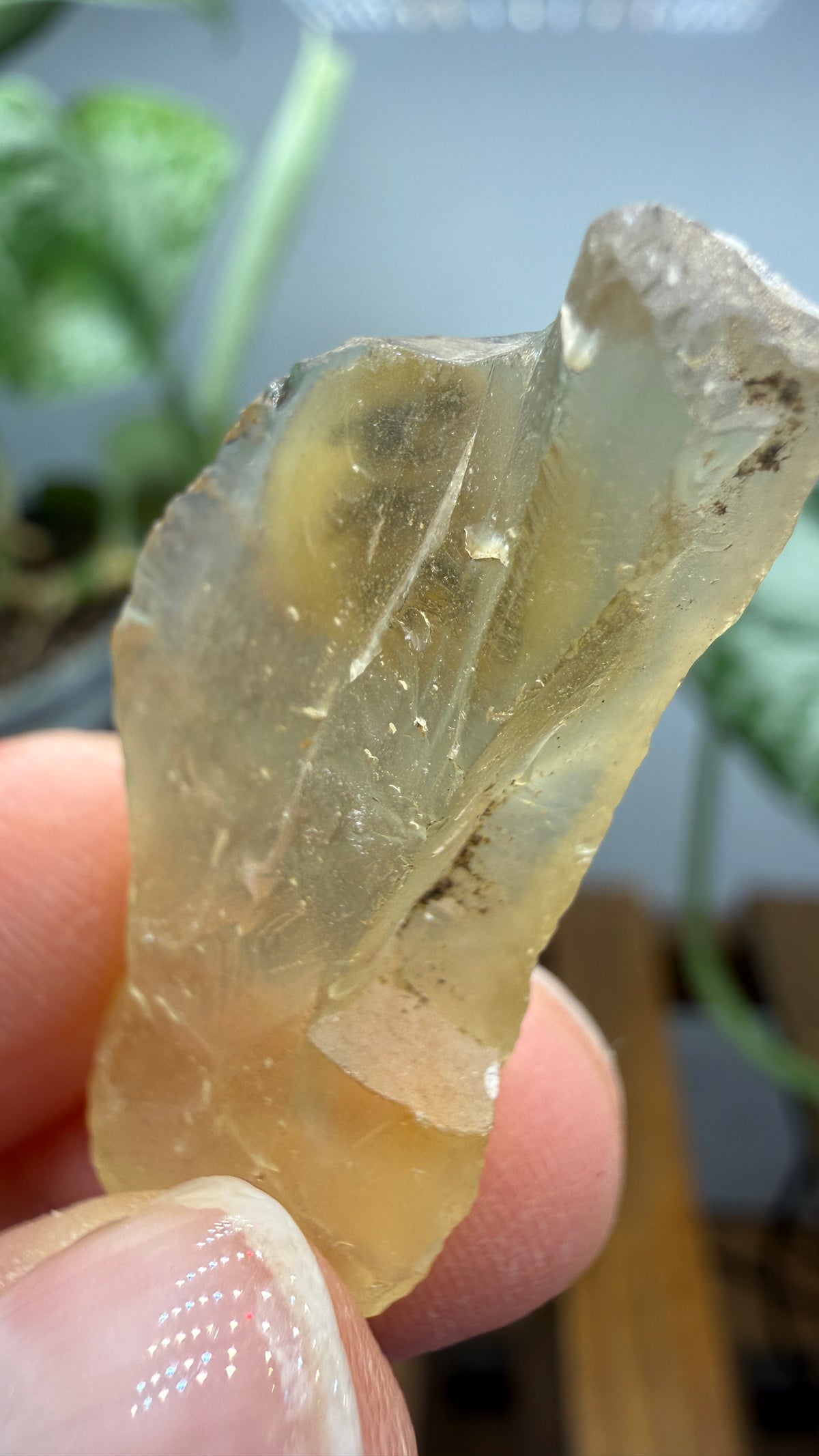 Bytownite- Lakeview, Lake County, Oregon, USA