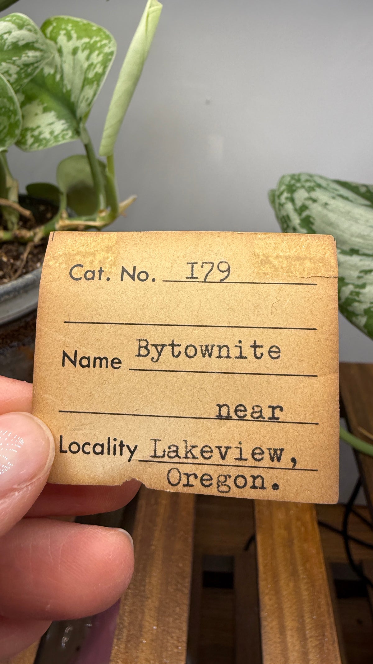 Bytownite- Lakeview, Lake County, Oregon, USA