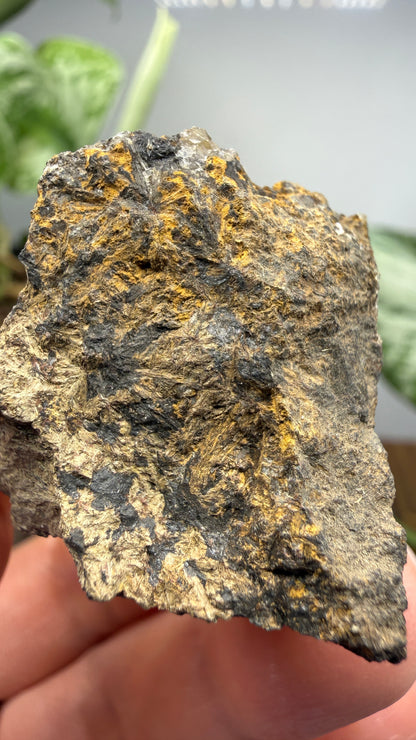 Hedenbergite- Magdalena Mining District, Socorro County, New Mexico, USA