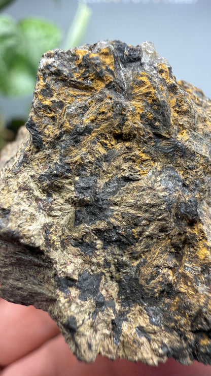 Hedenbergite- Magdalena Mining District, Socorro County, New Mexico, USA