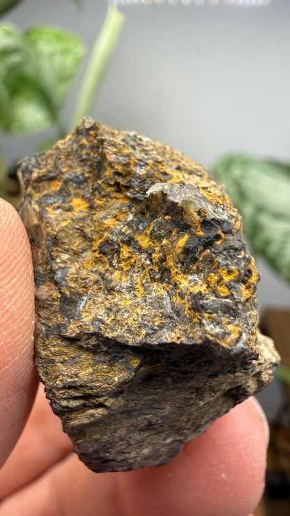 Hedenbergite- Magdalena Mining District, Socorro County, New Mexico, USA