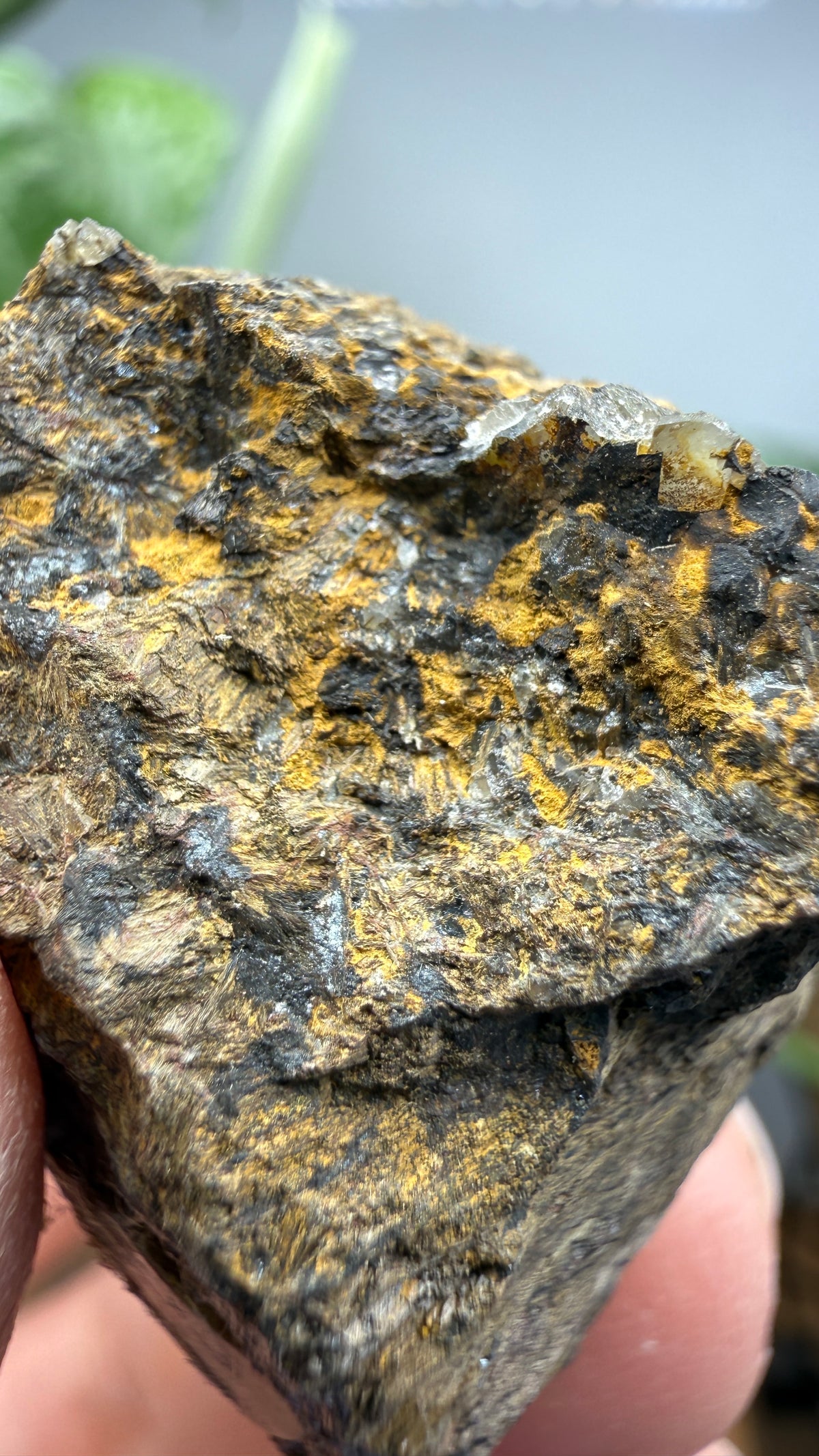 Hedenbergite- Magdalena Mining District, Socorro County, New Mexico, USA