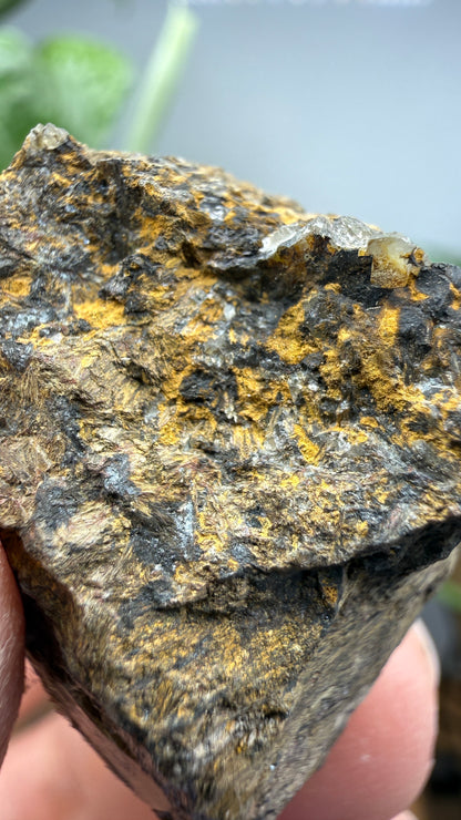 Hedenbergite- Magdalena Mining District, Socorro County, New Mexico, USA