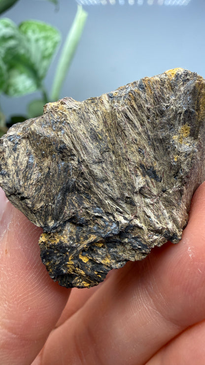 Hedenbergite- Magdalena Mining District, Socorro County, New Mexico, USA
