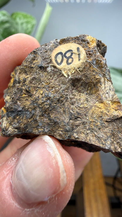 Hedenbergite- Magdalena Mining District, Socorro County, New Mexico, USA