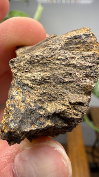 Hedenbergite- Magdalena Mining District, Socorro County, New Mexico, USA