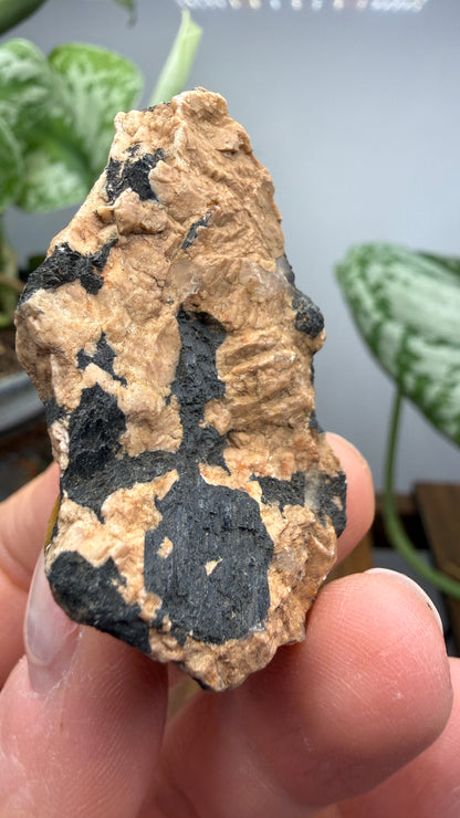 Hornblende in Pegmatite- Greer County, Oklahoma, USA