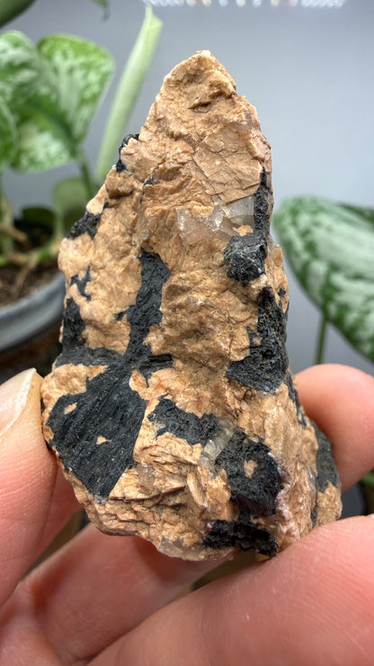 Hornblende in Pegmatite- Greer County, Oklahoma, USA