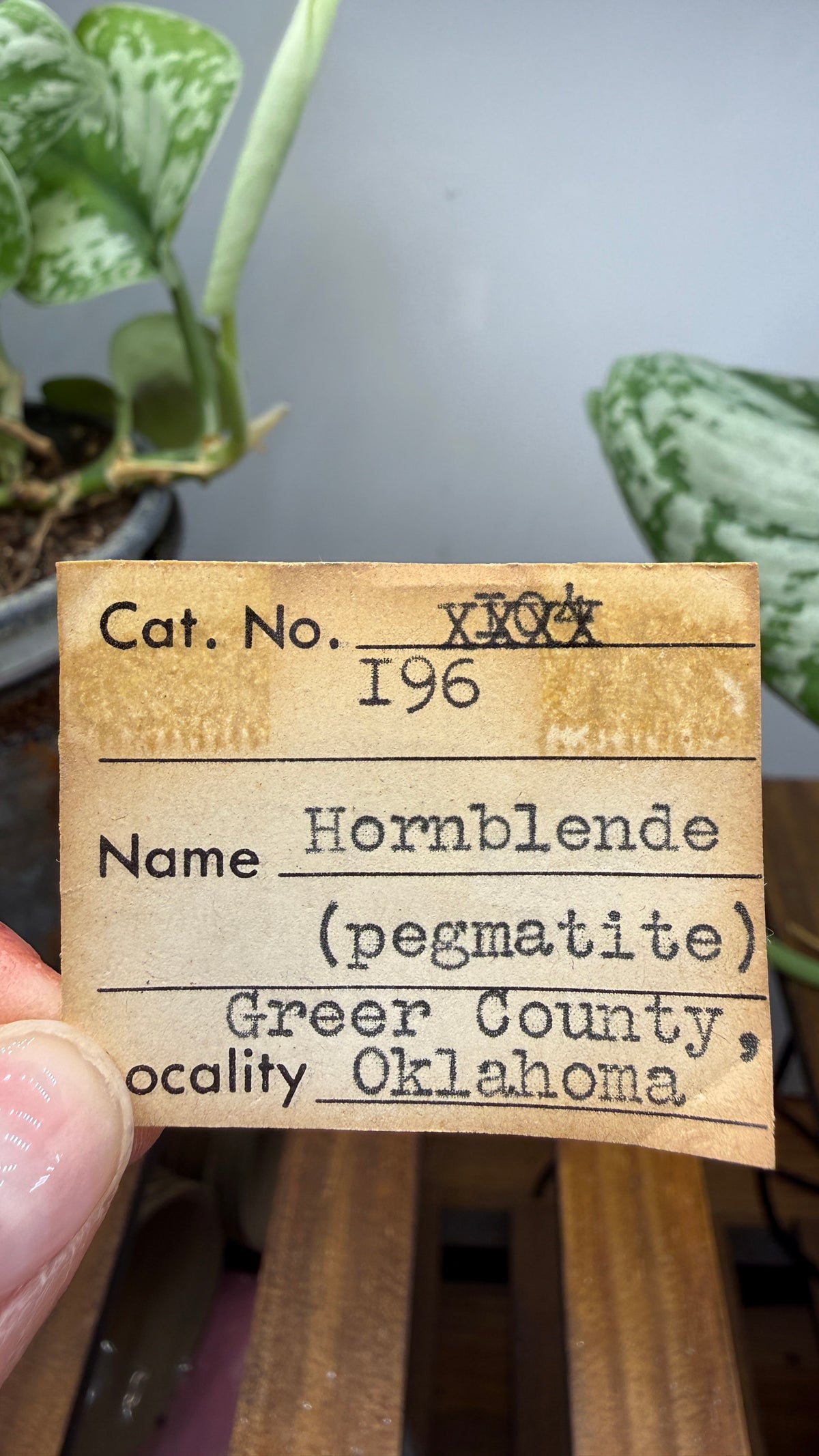 Hornblende in Pegmatite- Greer County, Oklahoma, USA