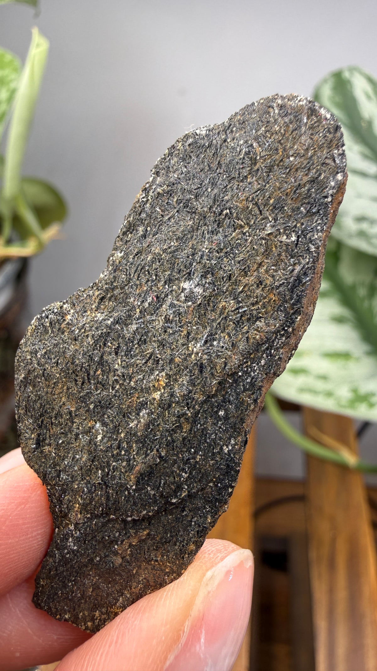 Hornblende Schist- Delaware County, Pennsylvania, USA