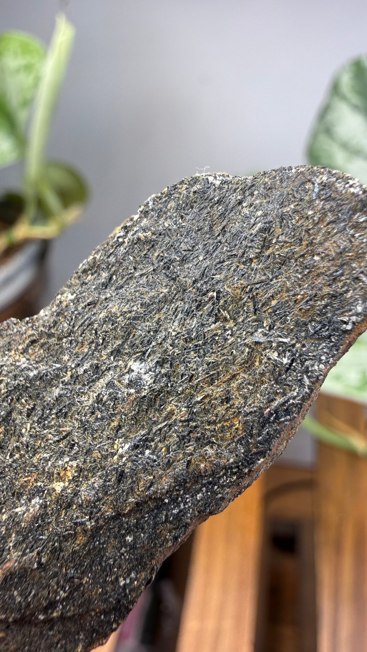 Hornblende Schist- Delaware County, Pennsylvania, USA