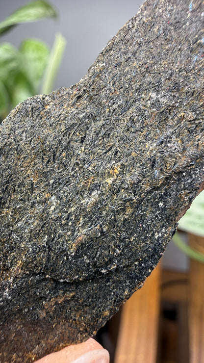Hornblende Schist- Delaware County, Pennsylvania, USA