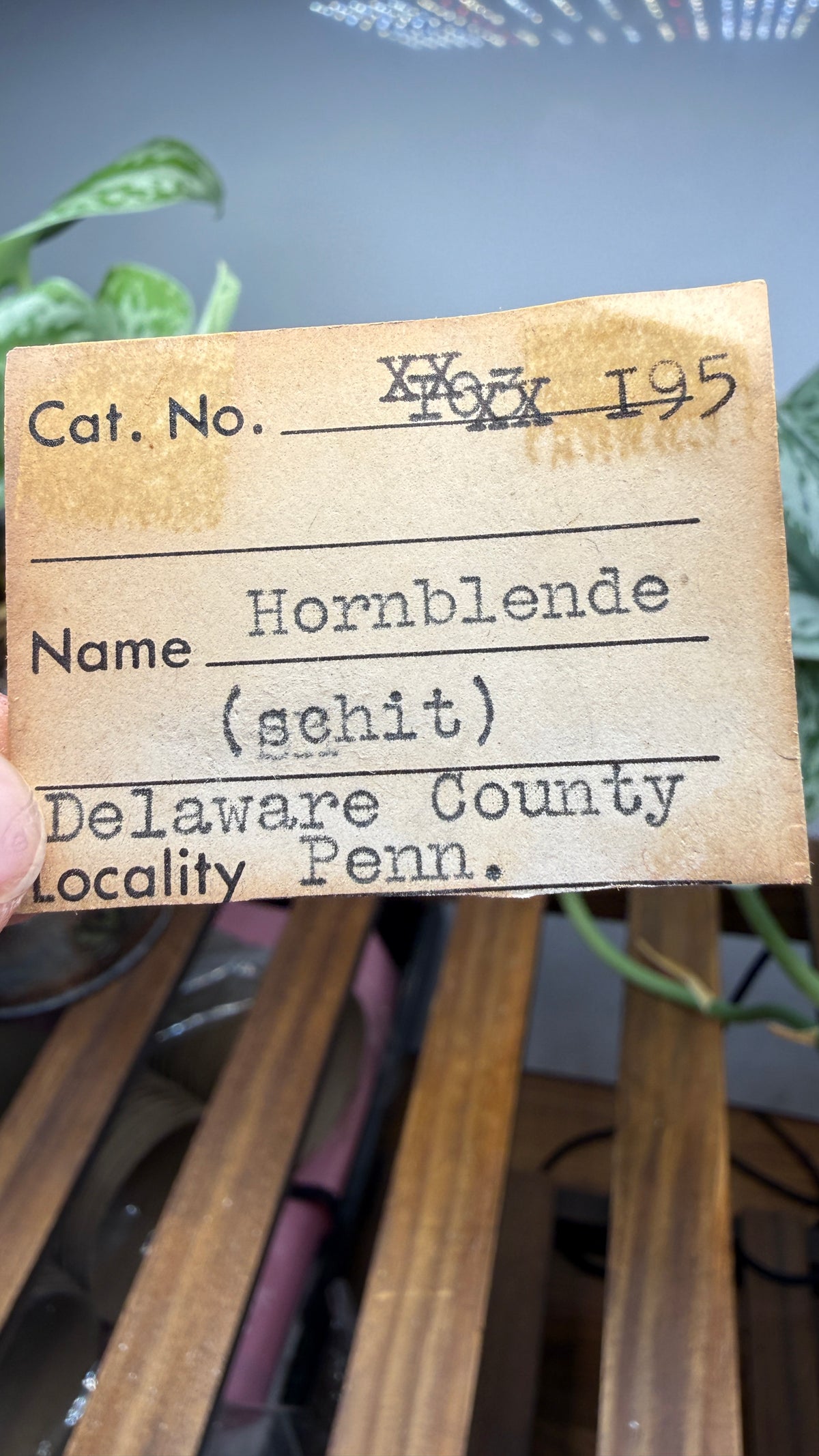 Hornblende Schist- Delaware County, Pennsylvania, USA