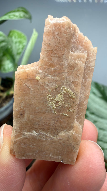 Microcline- Ontario, Canada