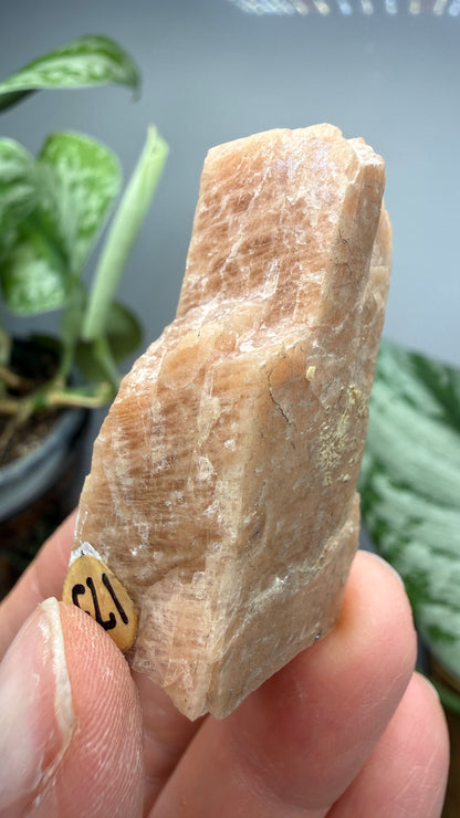 Microcline- Ontario, Canada