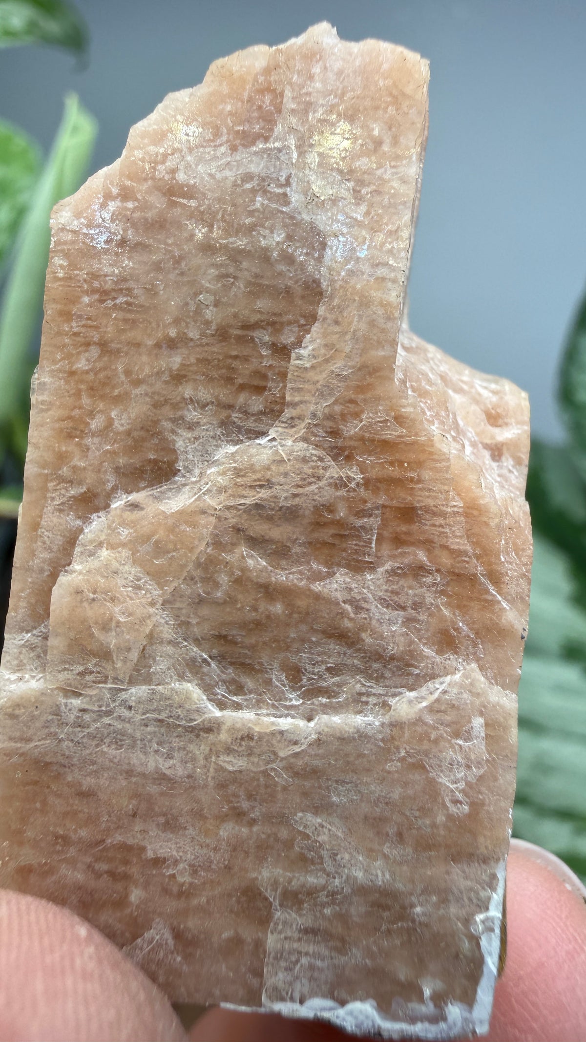 Microcline- Ontario, Canada