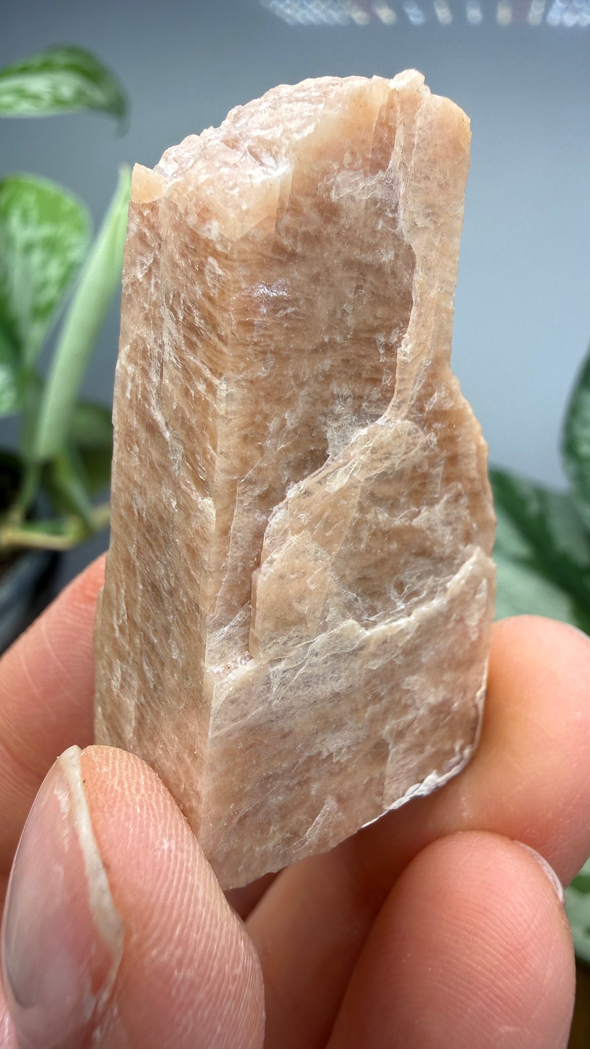 Microcline- Ontario, Canada
