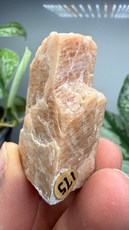 Microcline- Ontario, Canada