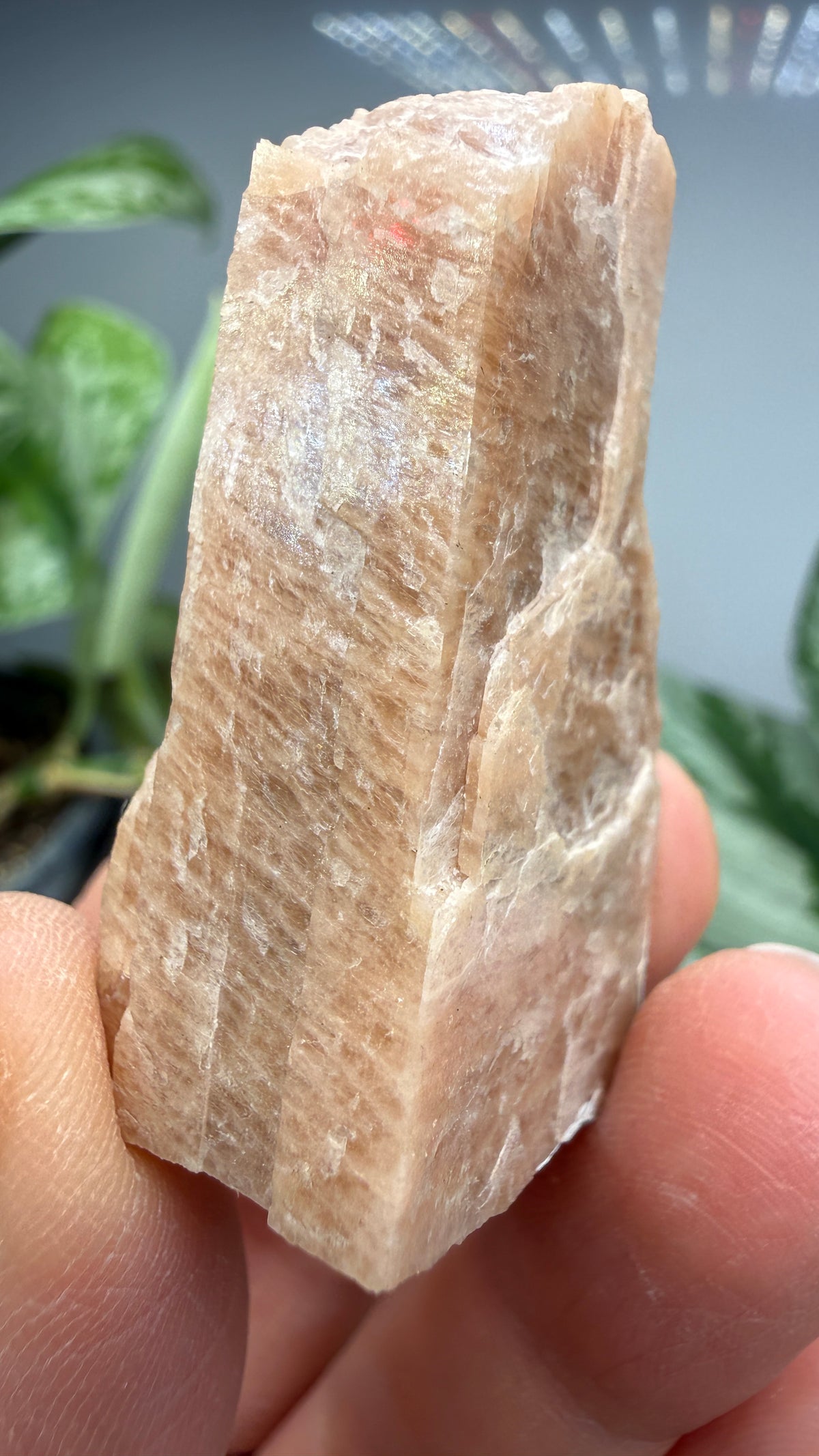 Microcline- Ontario, Canada