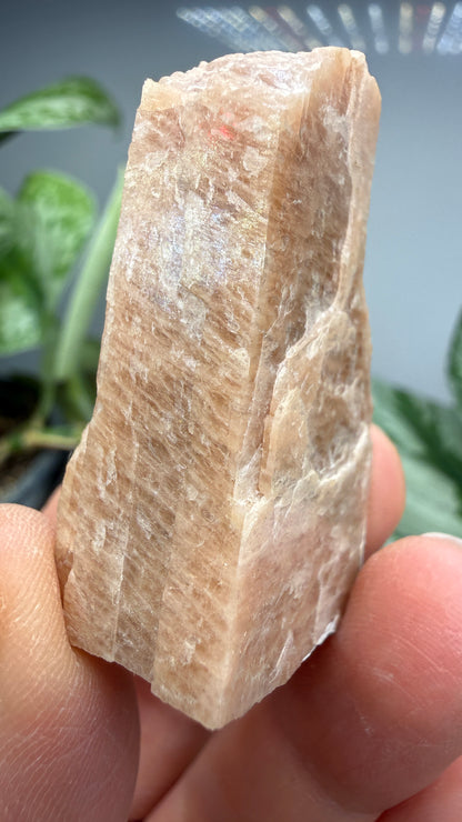 Microcline- Ontario, Canada