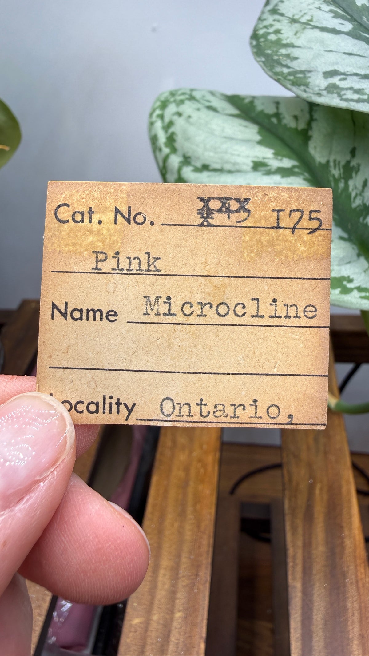 Microcline- Ontario, Canada